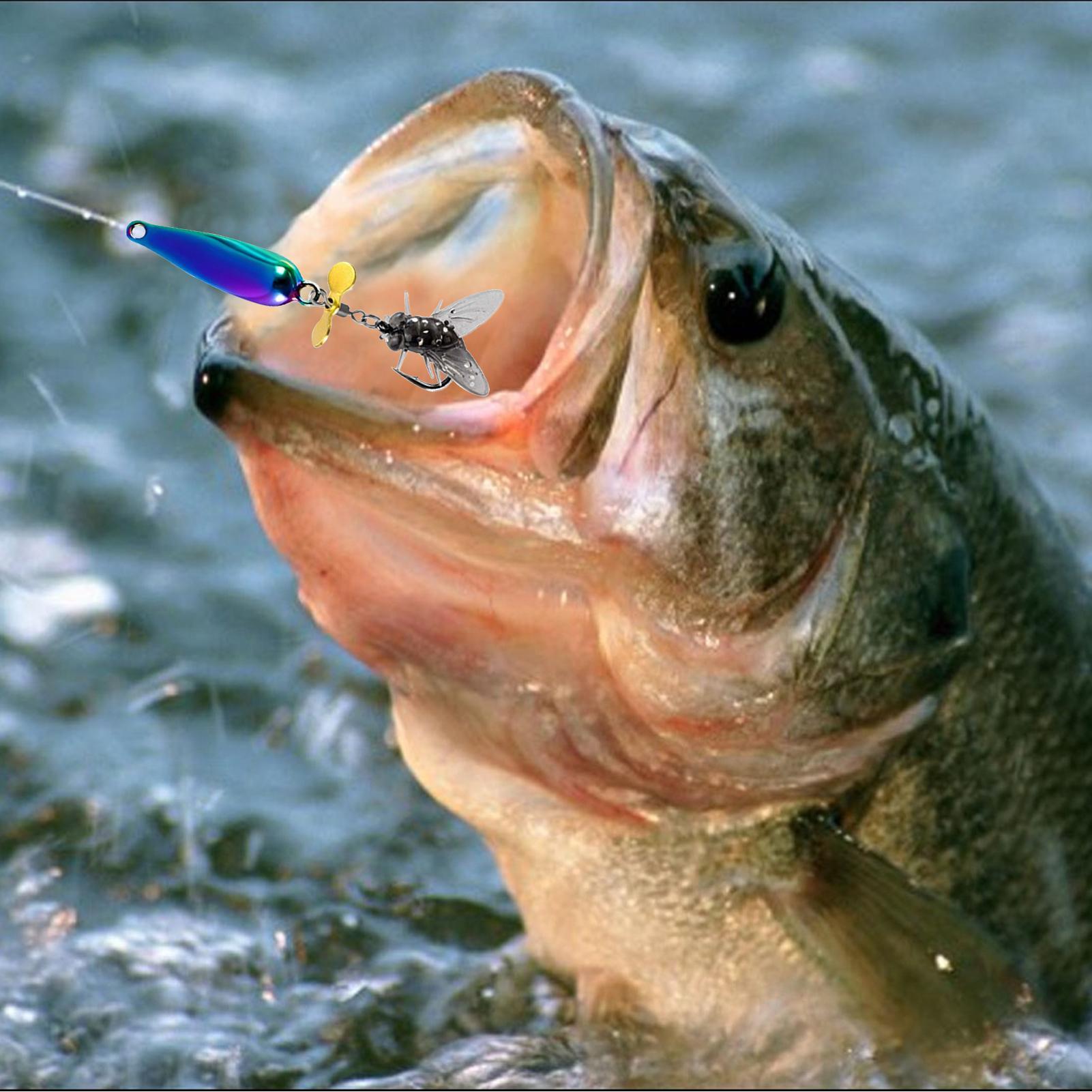 Fishing Spinner Baits Saltwate - Heavy Equipment Management ulasan dan harga